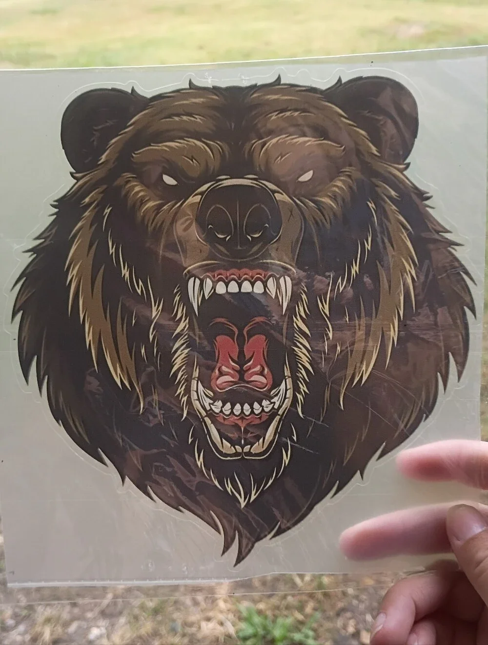 🌻 Amazon Roaring Bear Head Wall Car Decal - Brown, Black, Red
